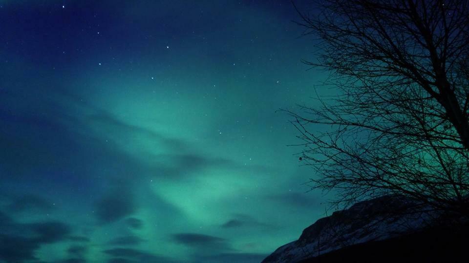 Ballangen Camping Narvik Esterno foto