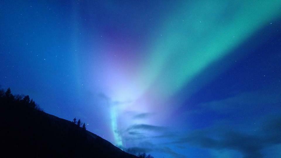Ballangen Camping Narvik Esterno foto