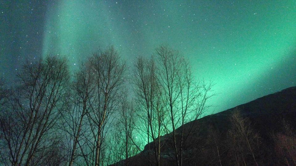 Ballangen Camping Narvik Esterno foto